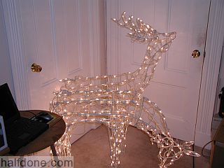Two deers with all lights working